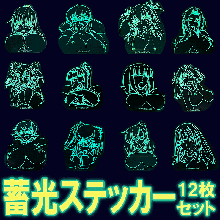 対魔忍ズリネタリウム 輝く十二子宮星座 蓄光ステッカー (12種セット)