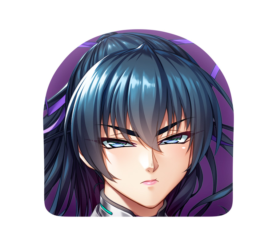 対魔忍 井河アサギ 「私を尻に敷いてください。あ、アヘぇぇ」リバーシブル座布団