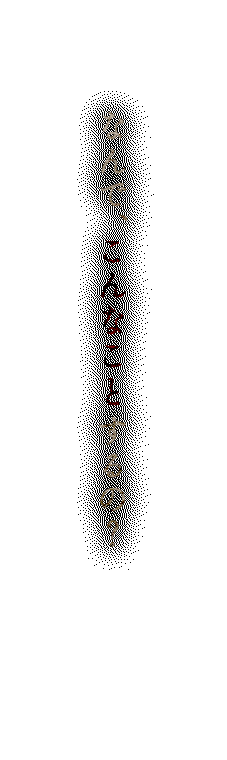 私の視界は真っ黒になった